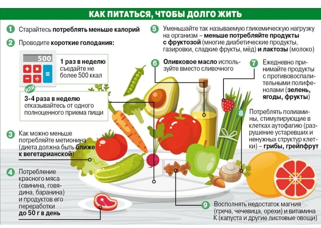 Приходится есть чтобы жить. Полезные советы для здорового питания. Правильное и здоровое питание. Здоровые продукты питания. Правильное питание инфографика.